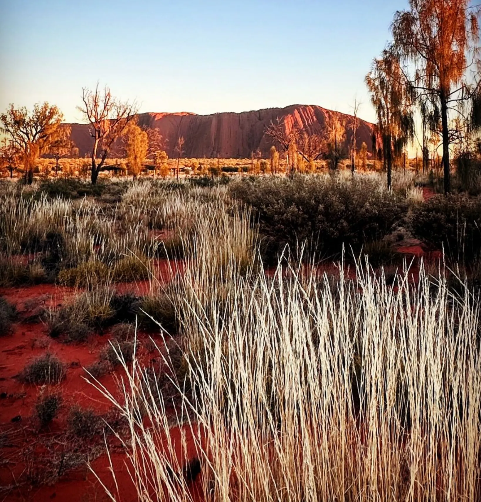 Ayers Rock (Uluru)