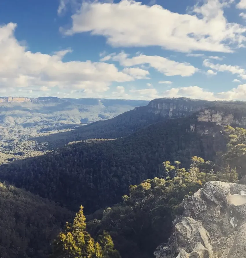 blue mountains nocturnal tour